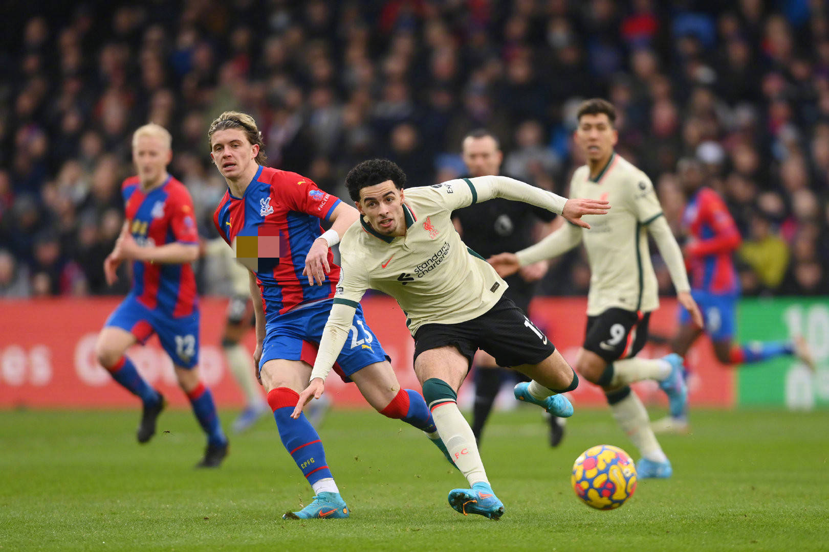 解和信任 解和信任